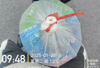 除夕加班的外卖小哥：有人日赚800收入翻倍