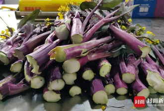 两根菜薹18888元!网友调侃"吃了能成仙",商家回应