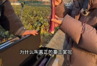 两根菜薹18888元!网友调侃"吃了能成仙",商家回应