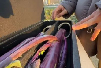 两根菜薹18888元!网友调侃"吃了能成仙",商家回应