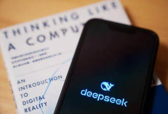 DeepSeek 测试美国禁令极限 外媒曝最惨结局
