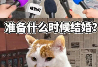 中国年轻人“整顿”新年第一招：有家，但不回
