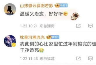 第5次登上春晚舞台，王菲这首歌唱哭好多人
