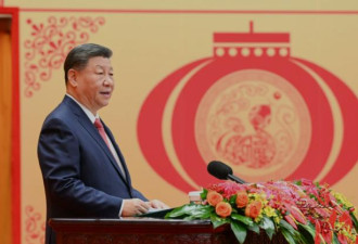 属蛇的习近平，话只说了一半