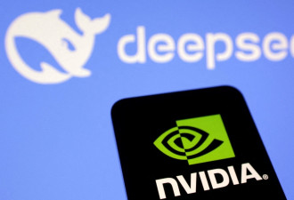 DeepSeek震撼减弱，全球市场企稳，纳指反弹强劲