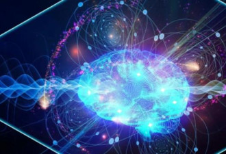 新发现：人脑可能利用量子来计算