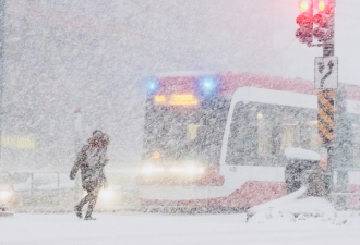 暴雪致TTC公交56个站点停运！多伦多周三迎更多降雪！
