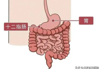 警惕春节餐桌上的“消化道刺客”