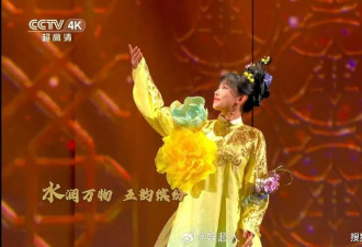 央妈有多看好李子柒，春晚第一个镜头给了她，怼脸拍也超漂亮
