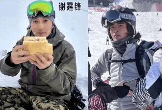 离婚14年后，谢霆锋张柏芝冲上热搜，这次的大瓜也太猛了！