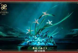 当我们吐槽春晚时，我们在吐槽什么？