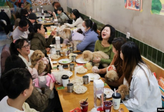 中国宠物商机起飞！毛孩今年也时兴吃“年夜饭”