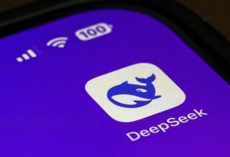 DeepSeek在意大利苹果和谷歌应用商店无法下载