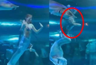 惊悚：水族馆表演中 美人鱼整颗头被巨鱼吞了…