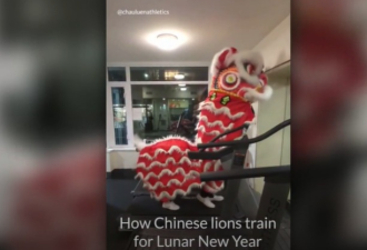 加拿大一群华裔青年因舞狮“火”了！视频观看量达数百万