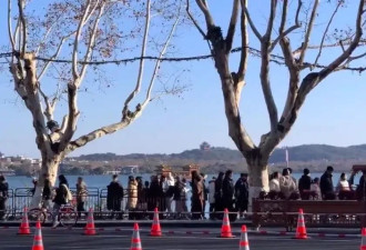 凌晨3点出门5点堵车 灵隐寺挤爆了 雍和宫通宵排队