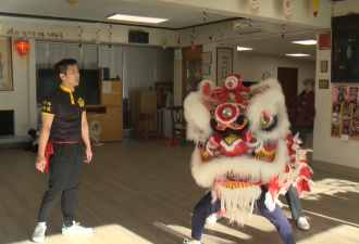 加拿大一群华裔青年因舞狮“火”了！视频观看量达数百万