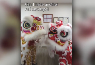 加拿大一群华裔青年因舞狮“火”了！视频观看量达数百万