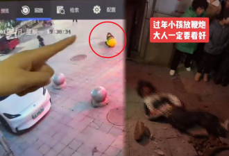 重庆小屁孩往下水道里扔鞭炮 结果悲剧了…