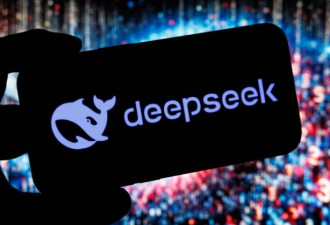 这国财长公开呼吁公民：须谨慎使用中国DeepSeek