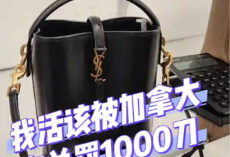 大批华人入境加拿大遭盘查+开箱:有人被关小黑屋!重罚$9000刀!