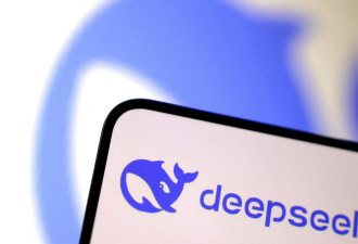 这国监管机构宣布：DeepSeek应用程式下架