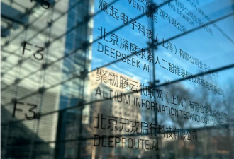 DeepSeek是AI创新奇迹还是科技走私的胜利？