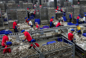 中国劳工抗争不容忽视： 总数较多、分布更广