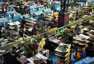 刚上台川普与5个国家闹翻 下一个是它？