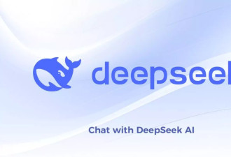 除夕，Deepseek给我说了三次“对不起”