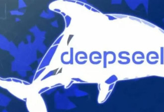 DeepSeek标榜低成本 美准商务部长:偷的当然便宜