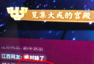 B站春晚预制弹幕：首批亲历者真实感受是什么？