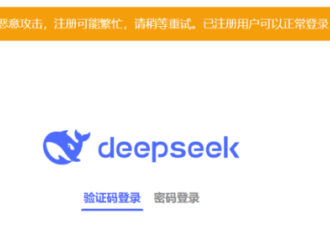 DeepSeek遭围剿 美国全面封杀中国AI 如何破局?