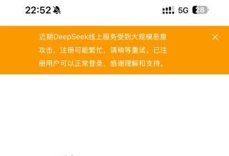 DeepSeek遭围剿 美国全面封杀中国AI 如何破局?