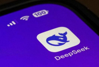 对国安的影响 又有国家盯上DeepSeek