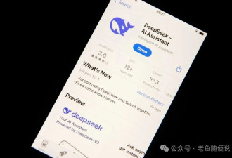 把美股吓崩盘的中国AI，更大的灾难还在后面