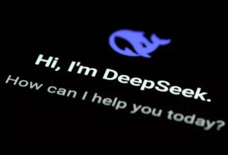 DeepSeek盗用OpenAI 网传“猫咪钓鱼图”神比喻