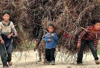 作为农民的孩子，就不要去凑“爱国”的热闹了