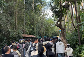 大年初二迎出游峰值：北上广假期前两天是热度最高城市