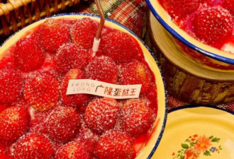 不买网红食品的我，开始为它的“抽象”买单