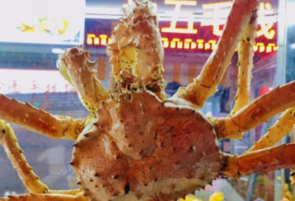 不买网红食品的我，开始为它的“抽象”买单