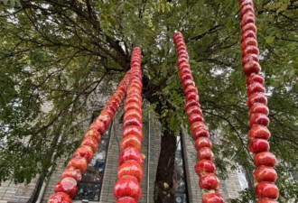 不买网红食品的我，开始为它的“抽象”买单