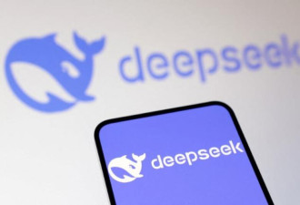 限制DeepSeek！更多国家加入