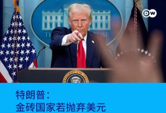 特朗普：金砖国家若抛弃美元 将被征100%关税