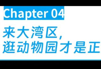 全世界会玩的人，都来广东过年了？