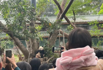 全世界会玩的人，都来广东过年了？