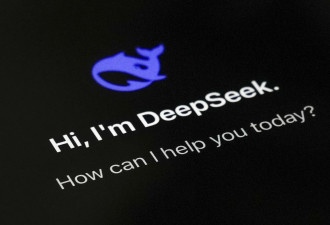 DeepSeek逆风崛起 打破美AI“大院高墙”