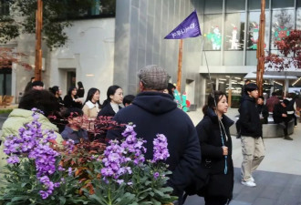第一批来上海的韩国人，已经赚得盆满钵满了