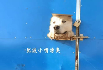 潘宏事件发生后，园区现状被当地人曝光
