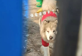 潘宏事件发生后，园区现状被当地人曝光